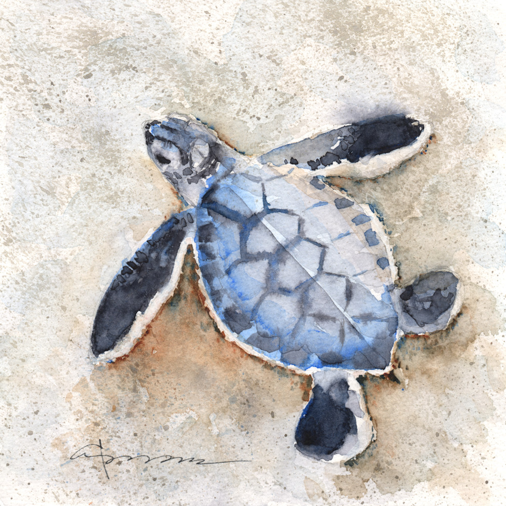 Sea Turtle 29 Watercolor Print | Claudia Hafner Watercolor