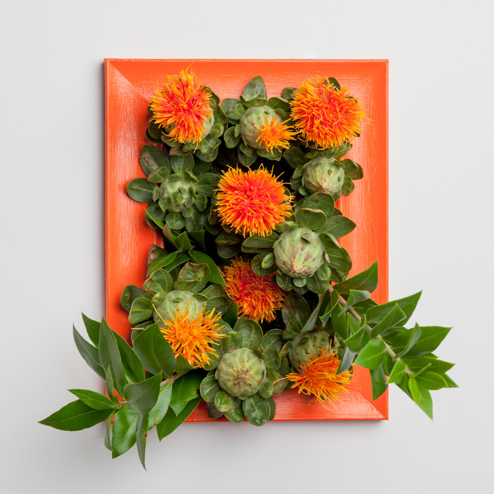 Orange Photography Art | Lukas Weiss Artworks