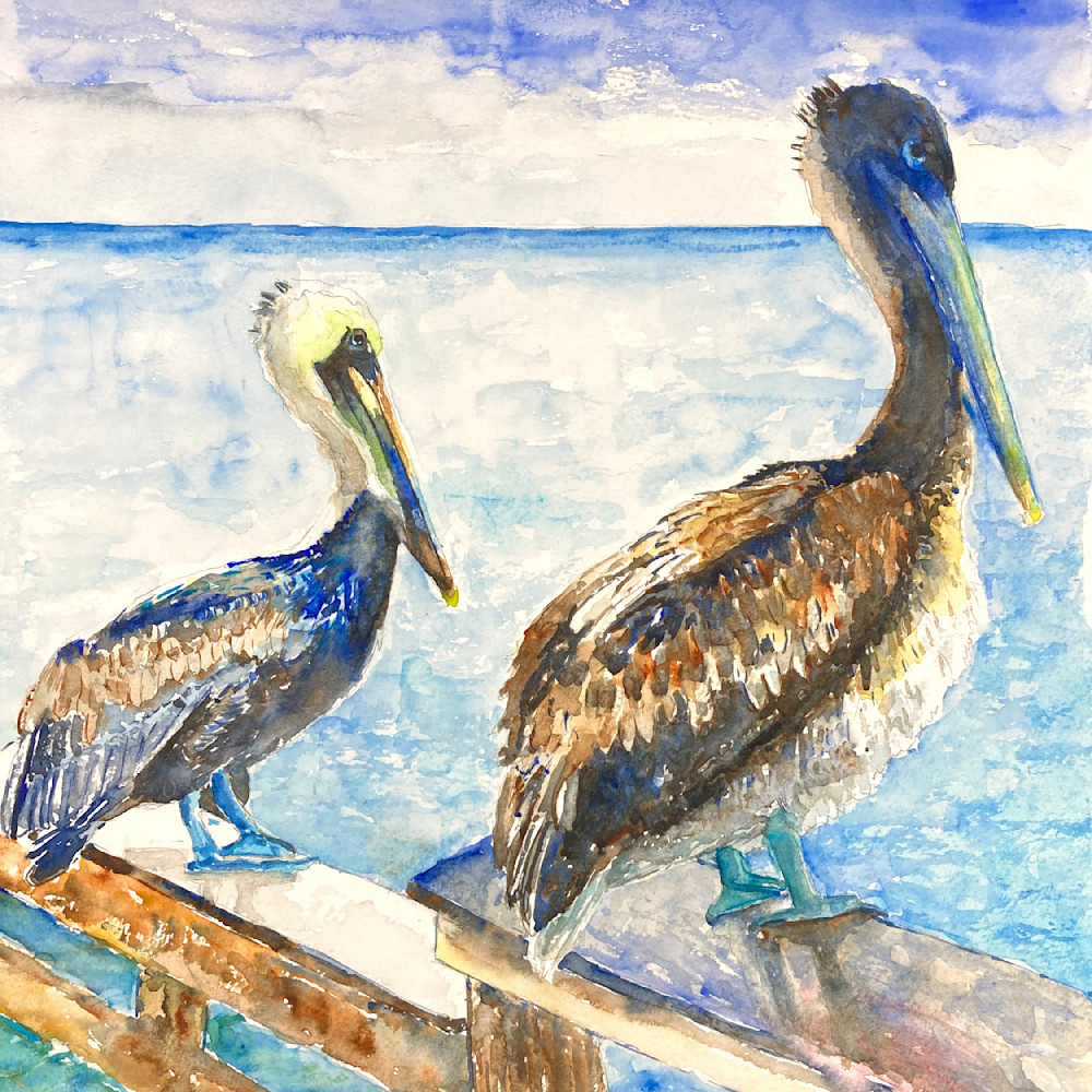 Pelican Duo Watercolor Print | Claudia Hafner Watercolor
