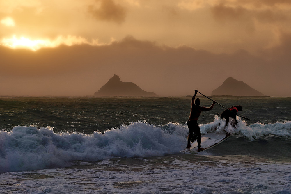 Dog Paddle Hawaiian Style Photography Art | KenRobertson.Photos