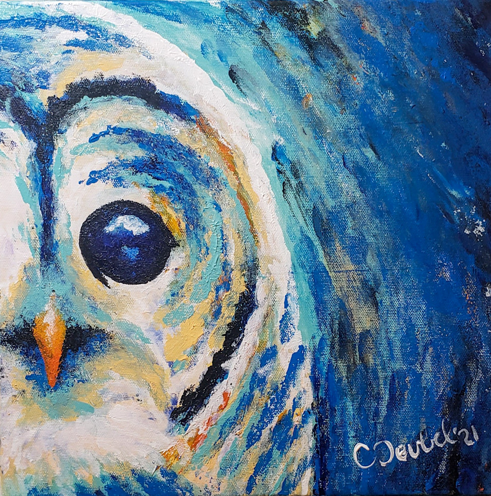 Barred Owl Art | Mountain Tidings