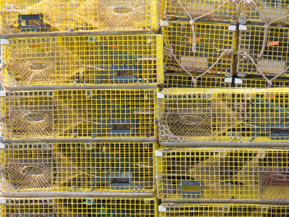 Lobster Cages Photography Art | Nature is Fine Art