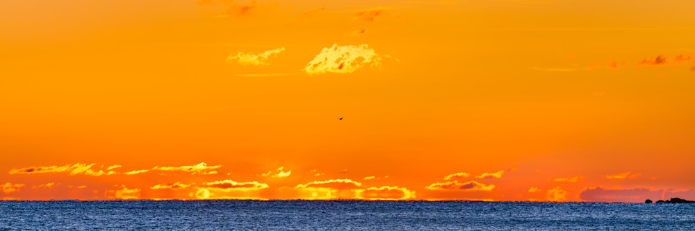 Orange Sunrise