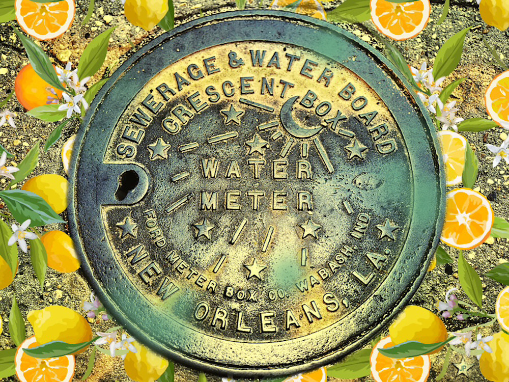 Water Meter And Lemons Art | Jamila Art Gallery