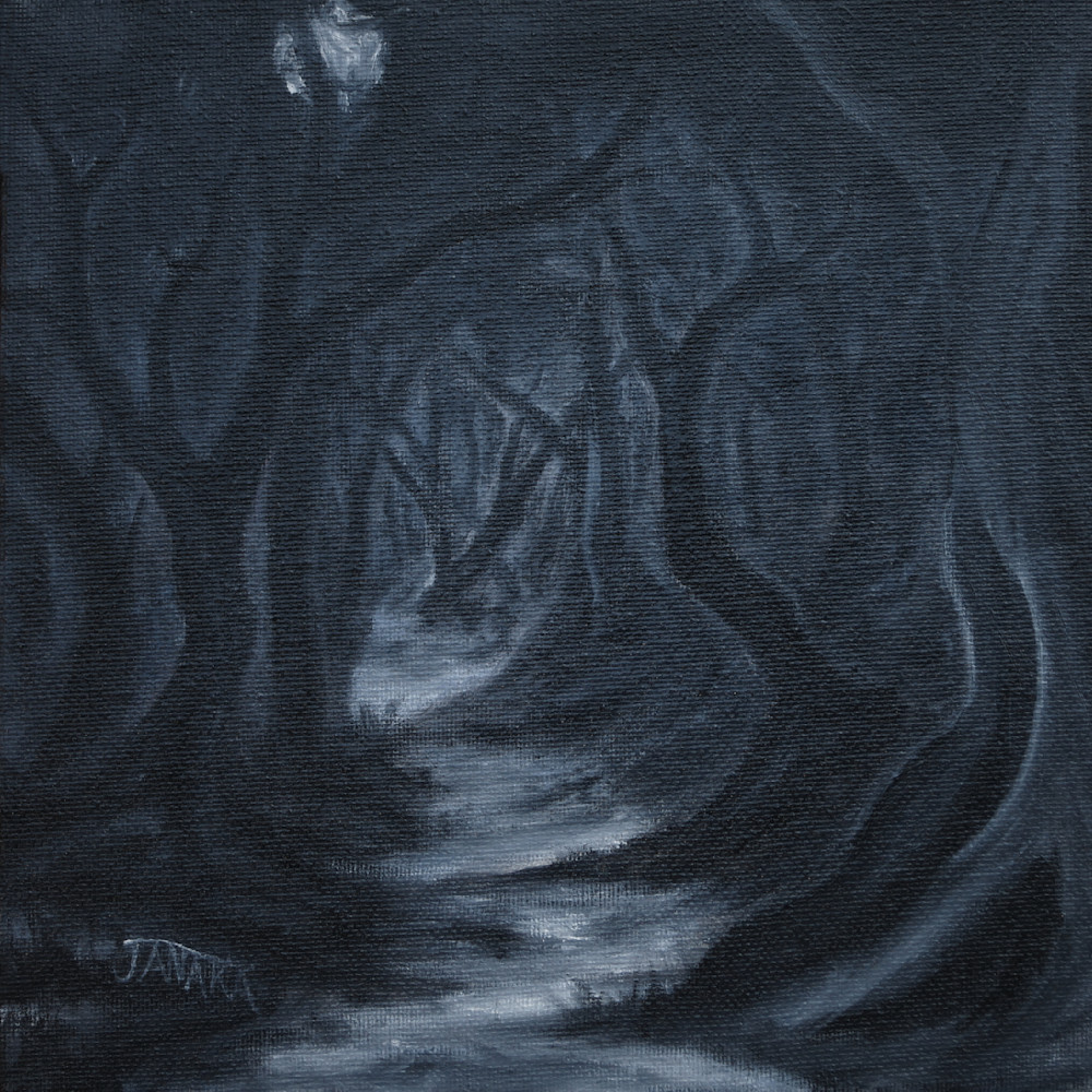 Into the Dark Woods