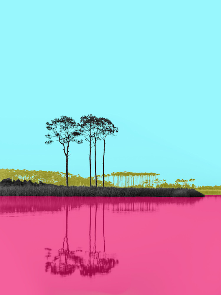 Warhol Lake Bright Art | Modus Photography