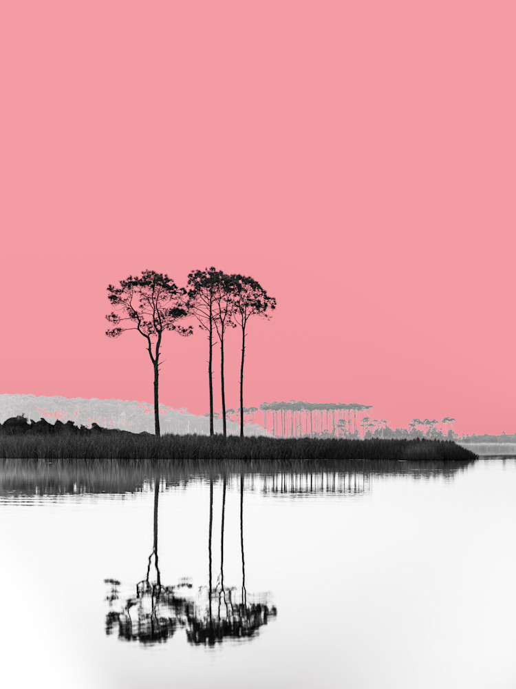 Warhol Lake Minimal Art | Modus Photography