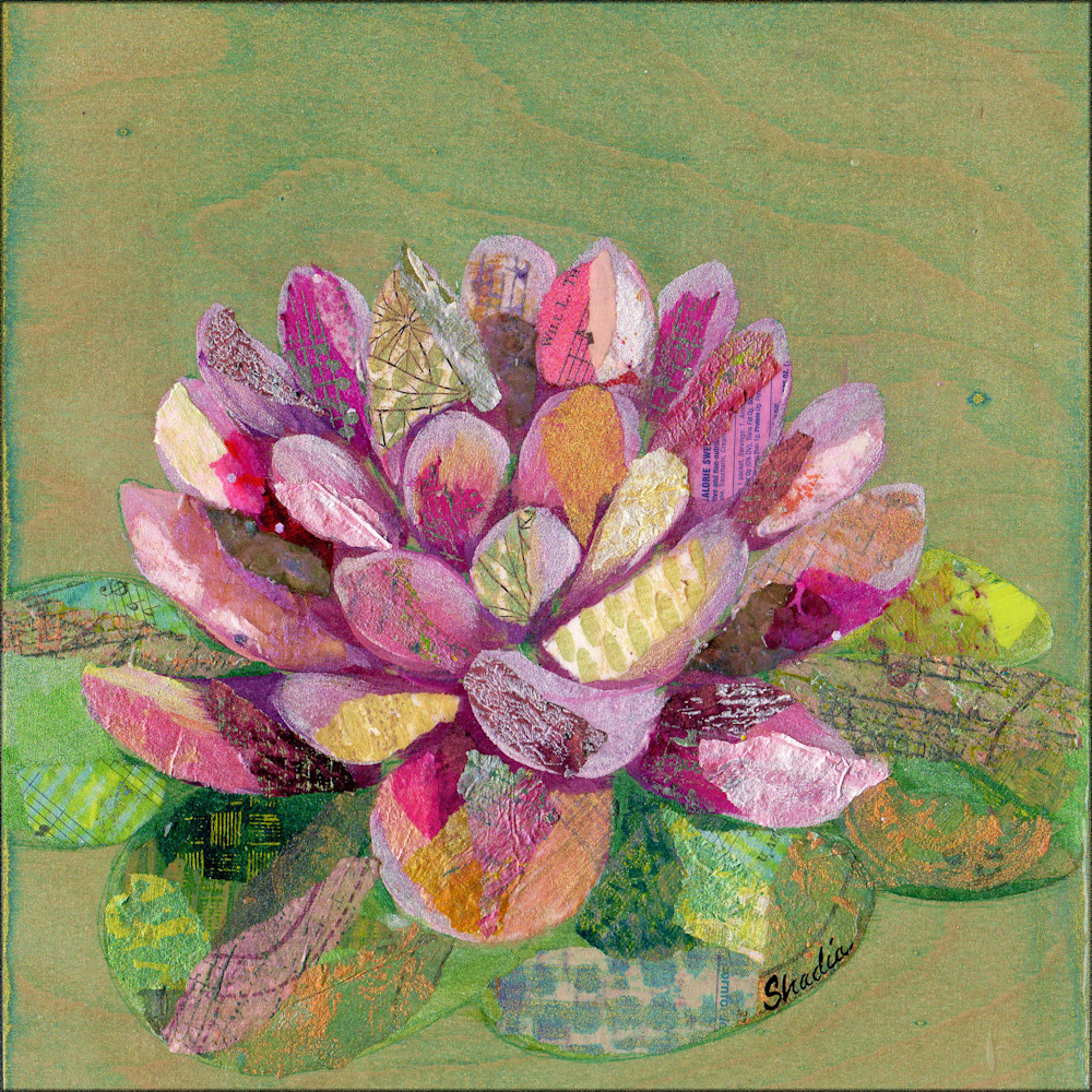 Lotus Series II-3 by Shadia