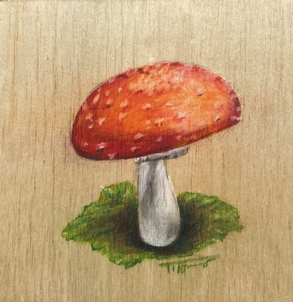 Red Headed Shroom Art | The Art and Paw