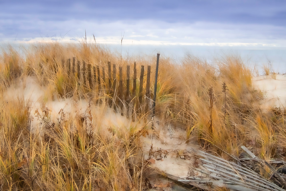 Cape Cod Dune Art | Sarah E. Devlin Photography