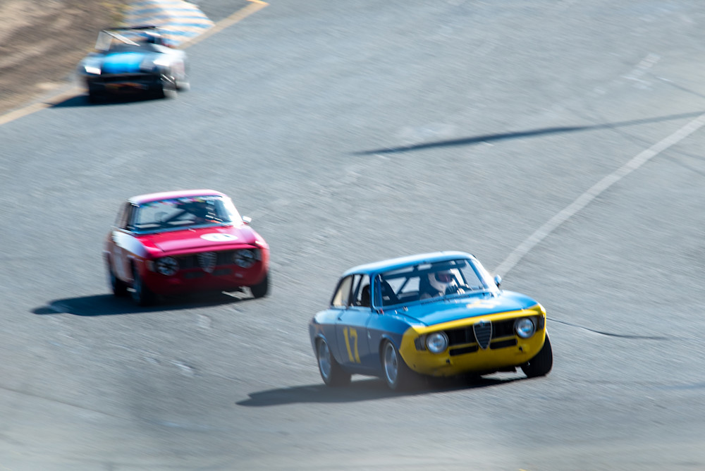 Two Alfas Sonoma Photography Art | Kyle Shepard Photography