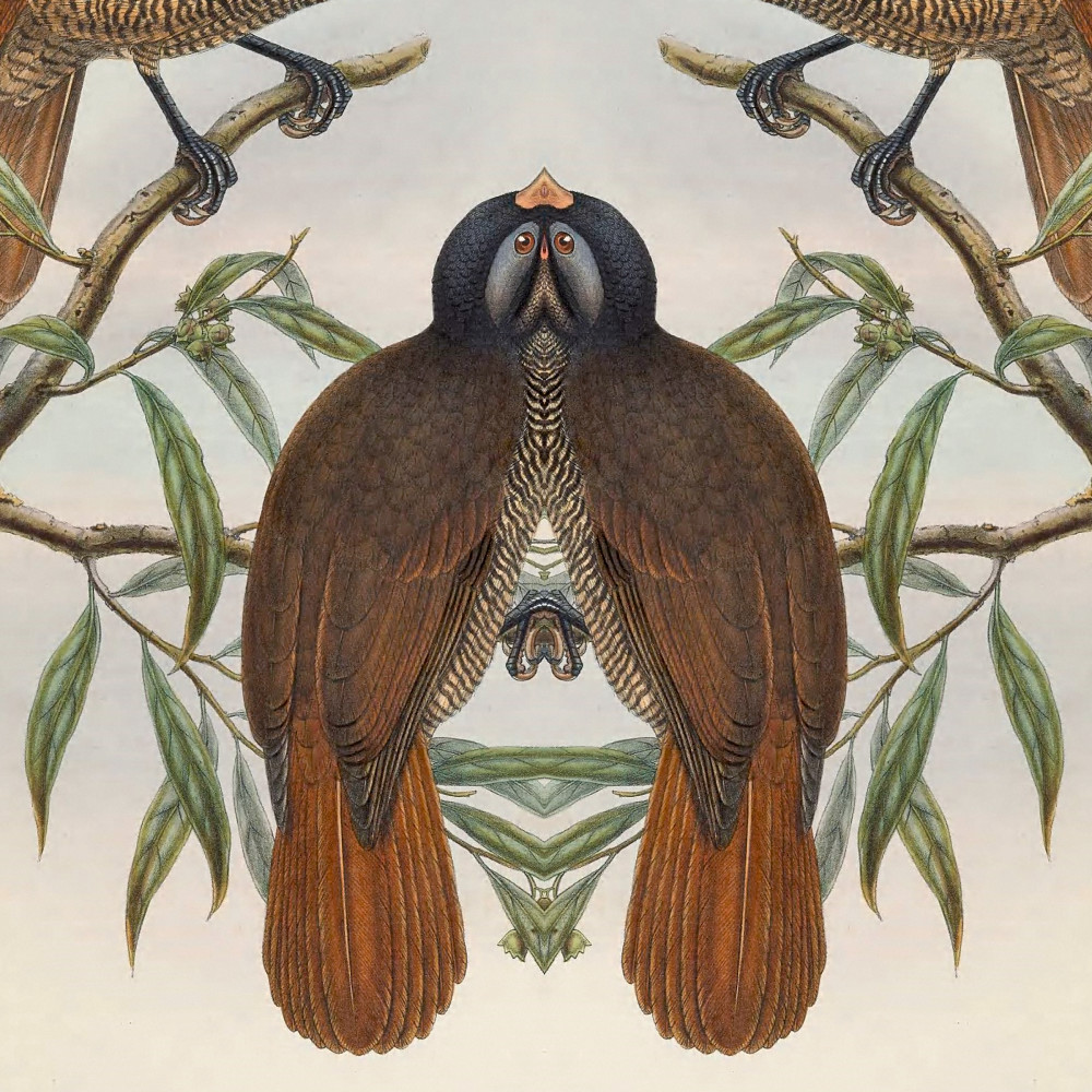 Bilateral Bird 21 2021 Art | Douglas D, Prince