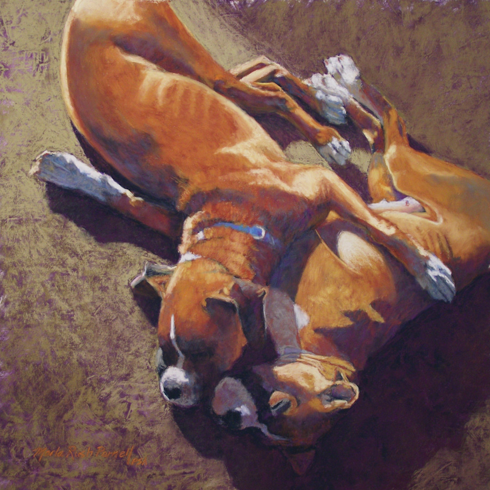 Painting of Boxer Dogs | Pet Portrait | Dog Prints | Parnell Studios