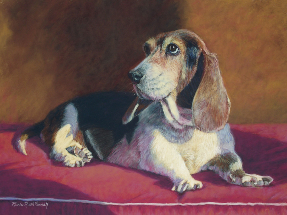 Basset Hound Painting | Print | Dog Portraits | Parnell Studios