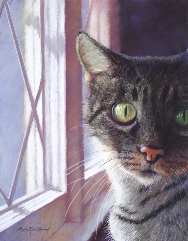 Gray Cat Art Prints | Cat Portraits | Pet Portraits | Parnell Studios