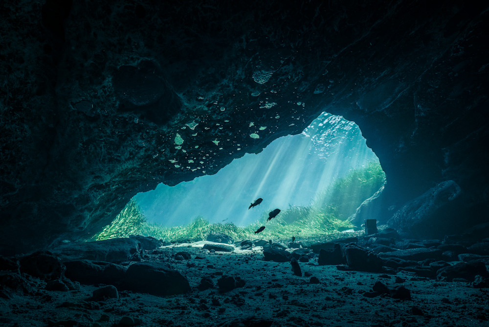 Jackson Blue Cavern Photography Art | Be Water Imaging