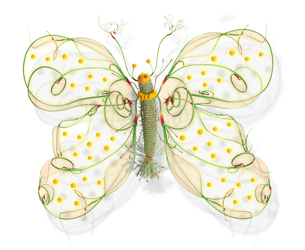 Tcherevkoff   Tcherevkoff Butterfly 23 Art | micheltcherevkoff