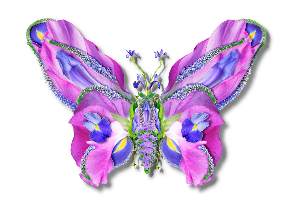 Tcherevkoff   Tcherevkoff Butterfly 01 Art | micheltcherevkoff