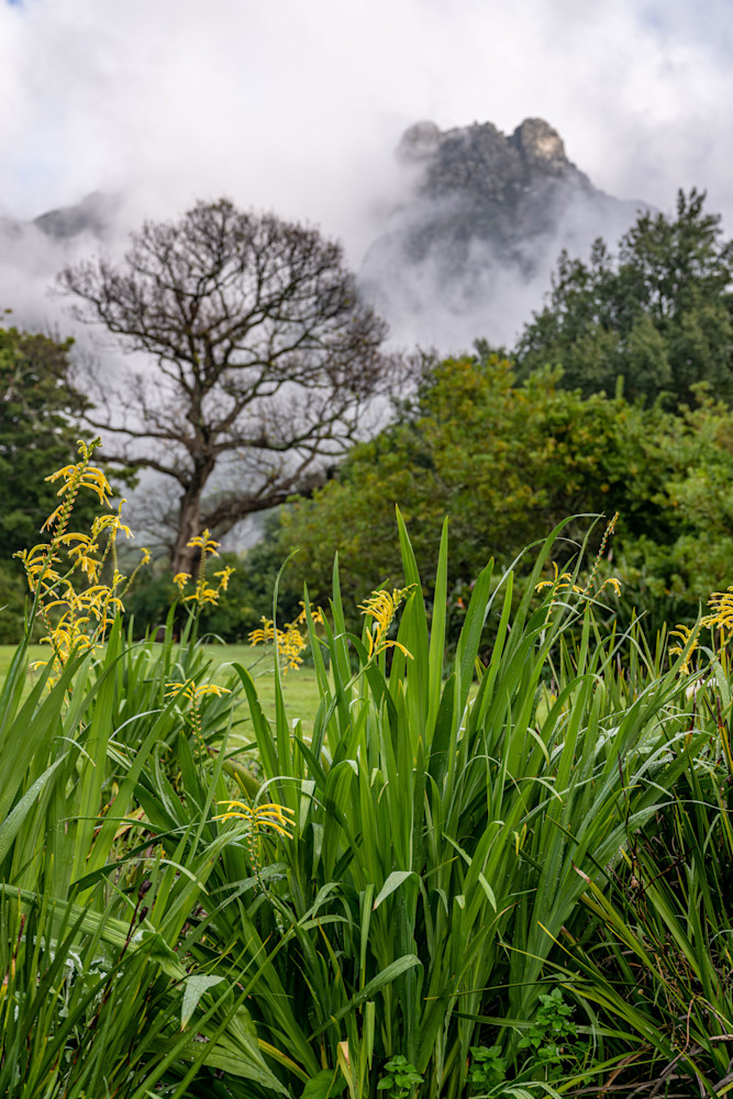 Botany Photography Art | kramkranphoto