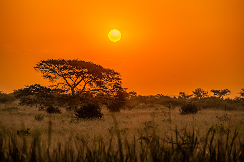 Big Orange Photography Art | kramkranphoto