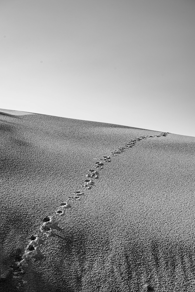 Hyena Beach Photography Art | kramkranphoto