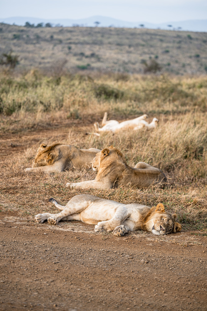 Showing Your Pride Photography Art | kramkranphoto