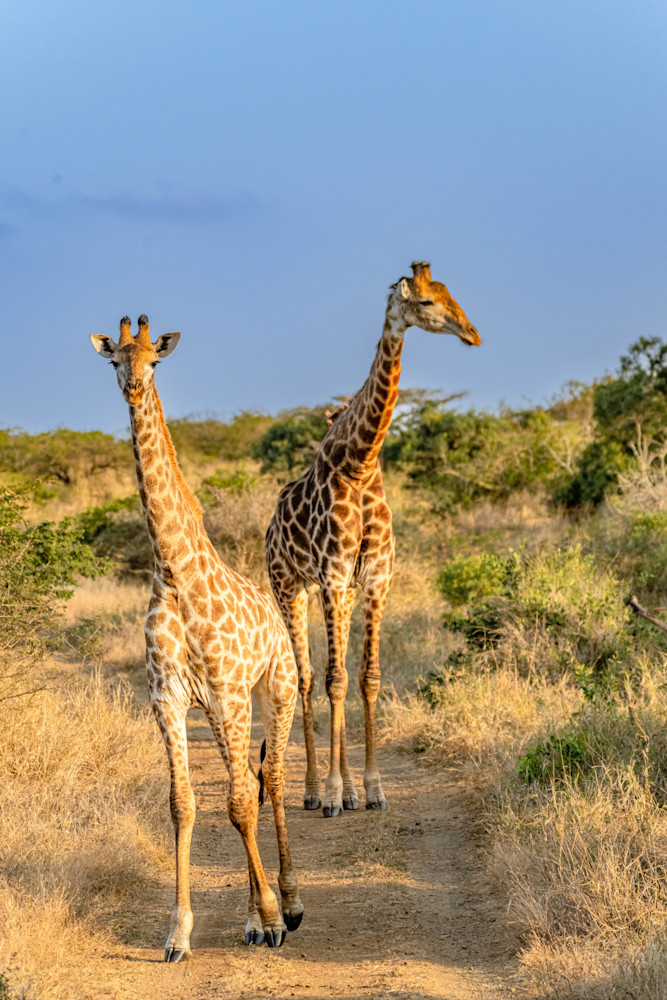 Two Is Company Photography Art | kramkranphoto