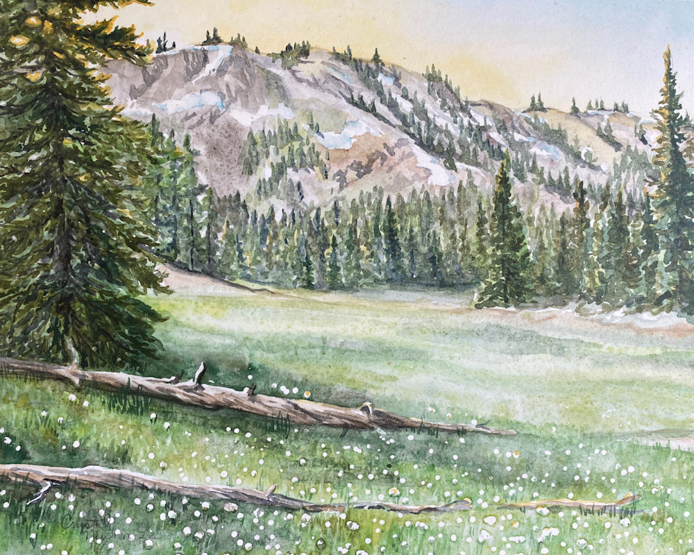 High Altitude Meadow Art | Crystal Newton