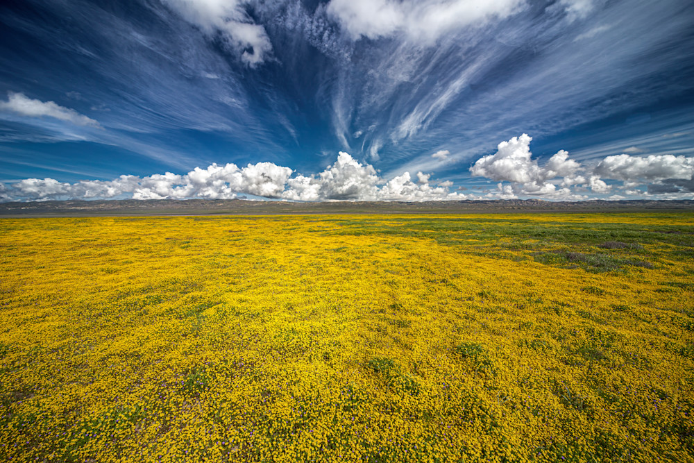 Landscape 117 Art | steveandersonart