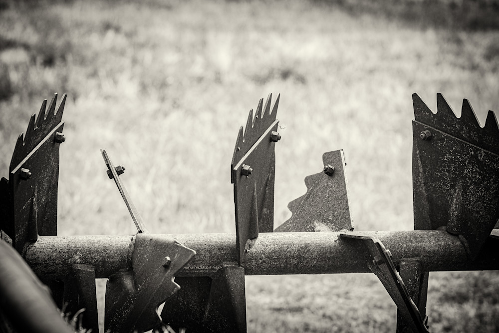 Dmw 7989 Edit Photography Art | Photographer David Wilson, LLC