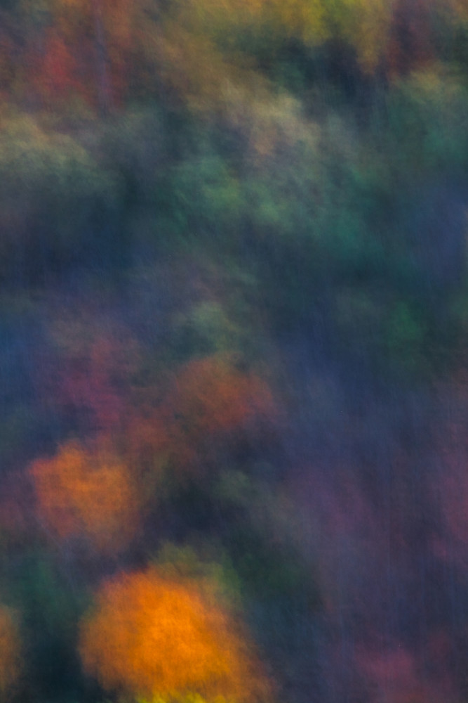 Hillside Colors | Fall Abstract