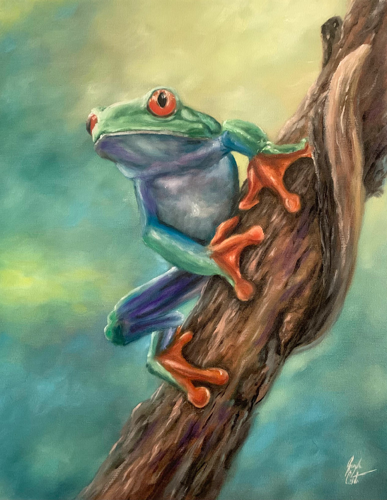 Anticipation  Original Tree Frog Oil Painting By Sunscapes Art Joseph Cantin 
