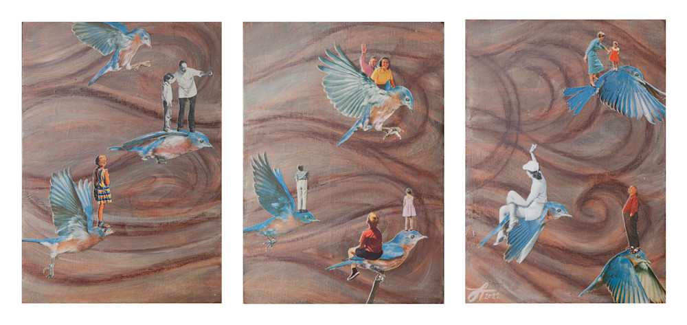 Bluebirds with riders fine art print triptych