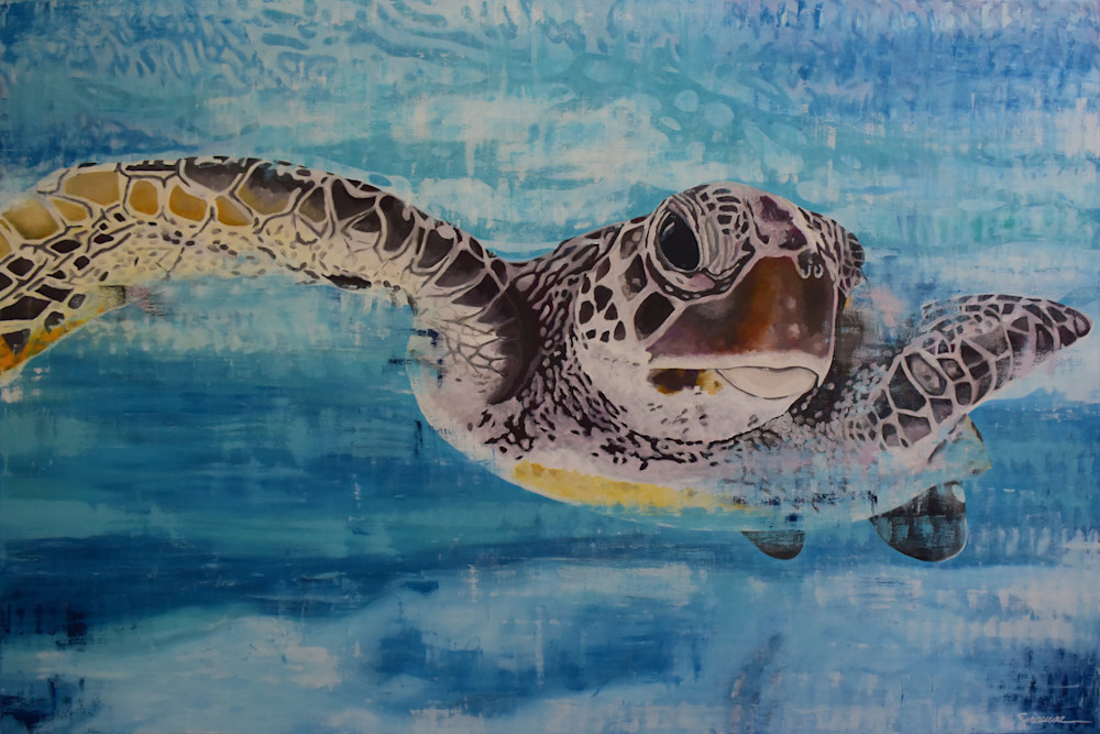 Vitamin Sea Hawksbill Sea Turtle Frank Open Edition Print Art | juliesiracusa