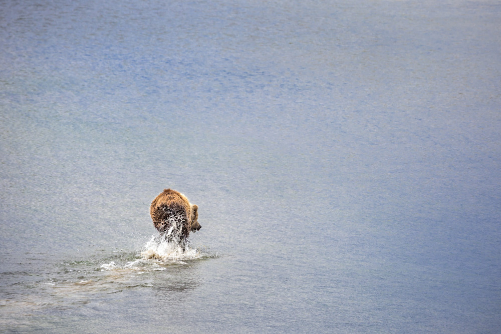 Kim Clune Photography - Cub on the Run