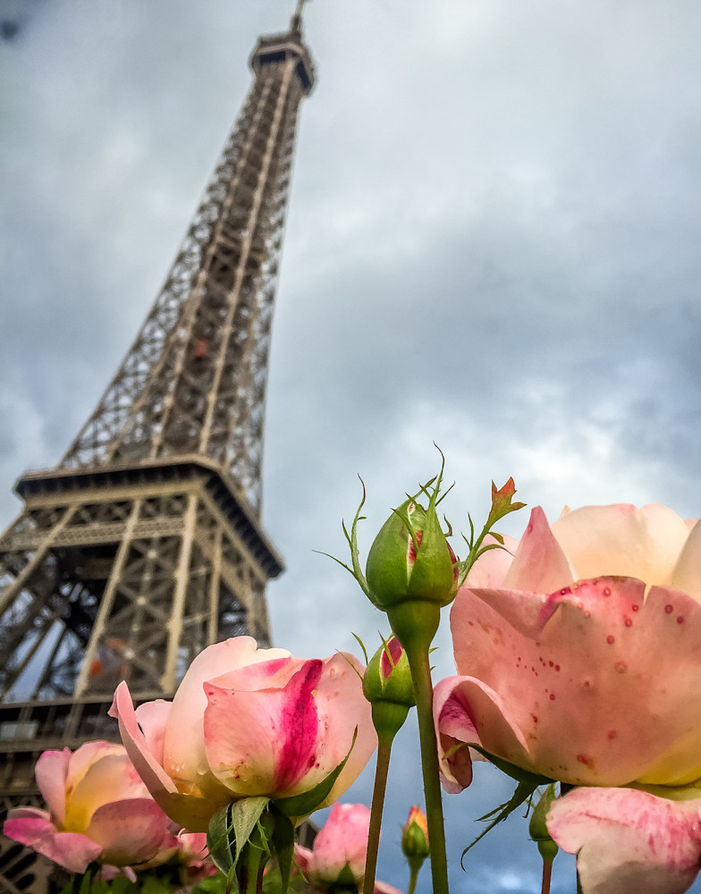 Eifel Tower Flowers Photography Art | Eric Reed Photography