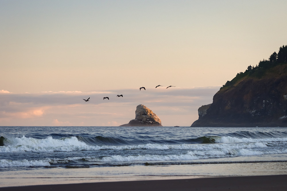 Pelicans Over Cape Meares Photography Art | Nicole Peloquin Photography LLC