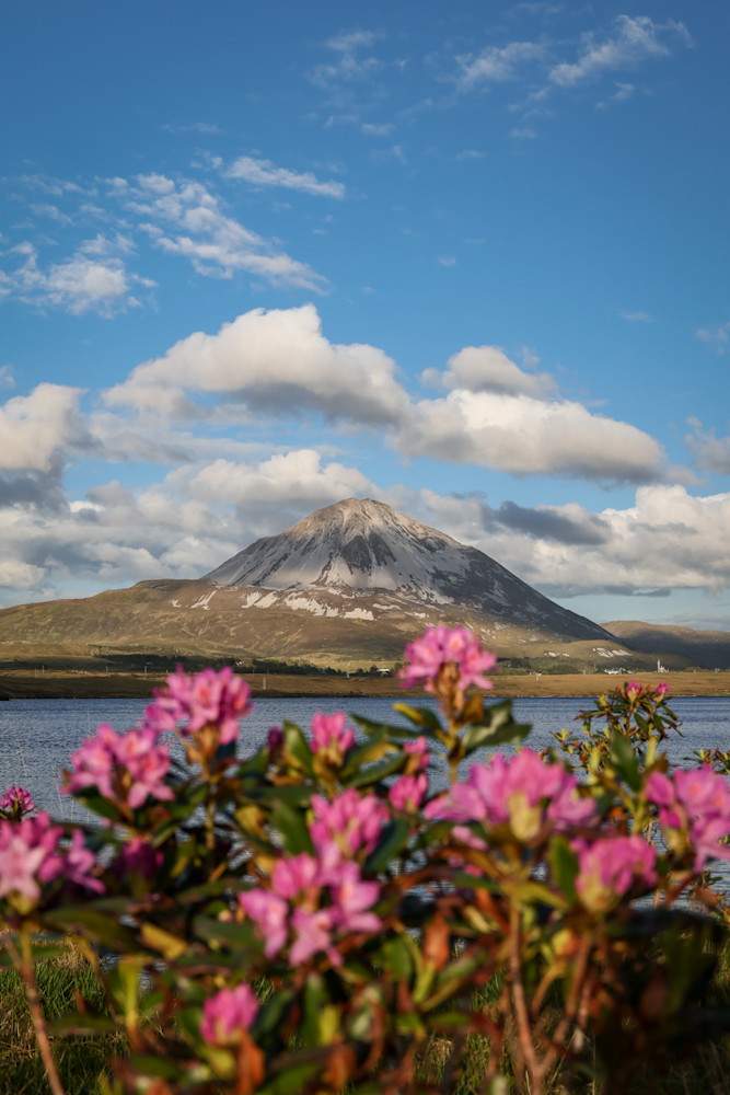 Lake Dunlewey At Golden Hour Photography Art | Nicole Peloquin Photography LLC