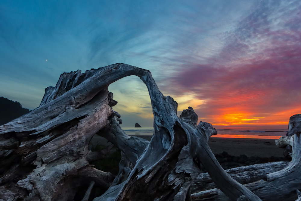 Driftwood Sunset, Landscape Photography Art | Nicole Peloquin Photography LLC