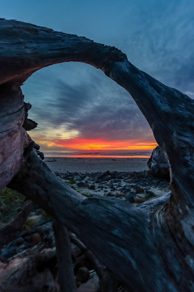 Driftwood Portal At Sunset Photography Art | Nicole Peloquin Photography LLC