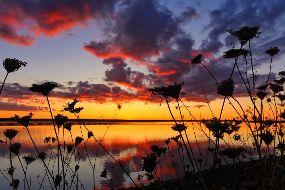 Netarts Bay Sunset Photography Art | Nicole Peloquin Photography LLC