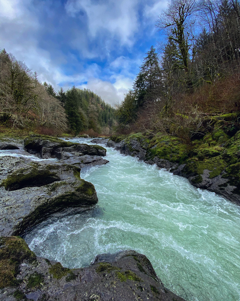 Trask River Photography Art | Nicole Peloquin Photography LLC