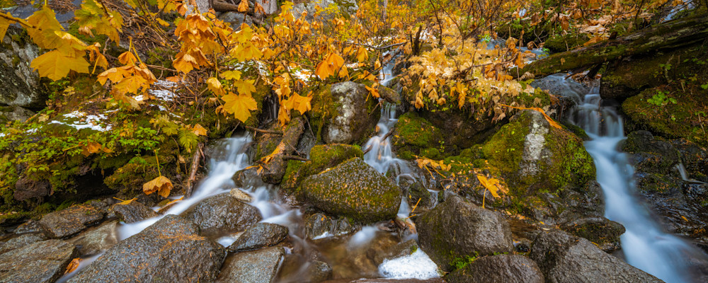 Streams Where There Should None Photography Art | Craig Primas Photography