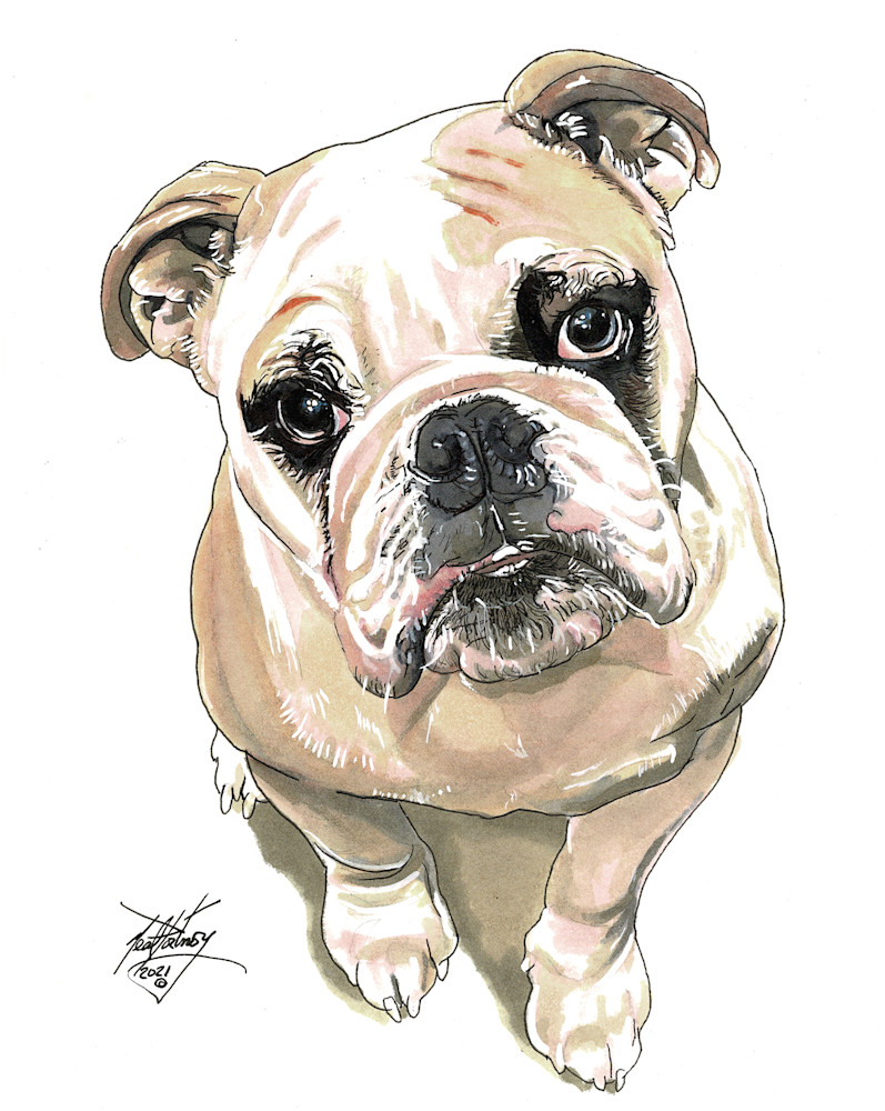Bulldog Art | portnoygallery
