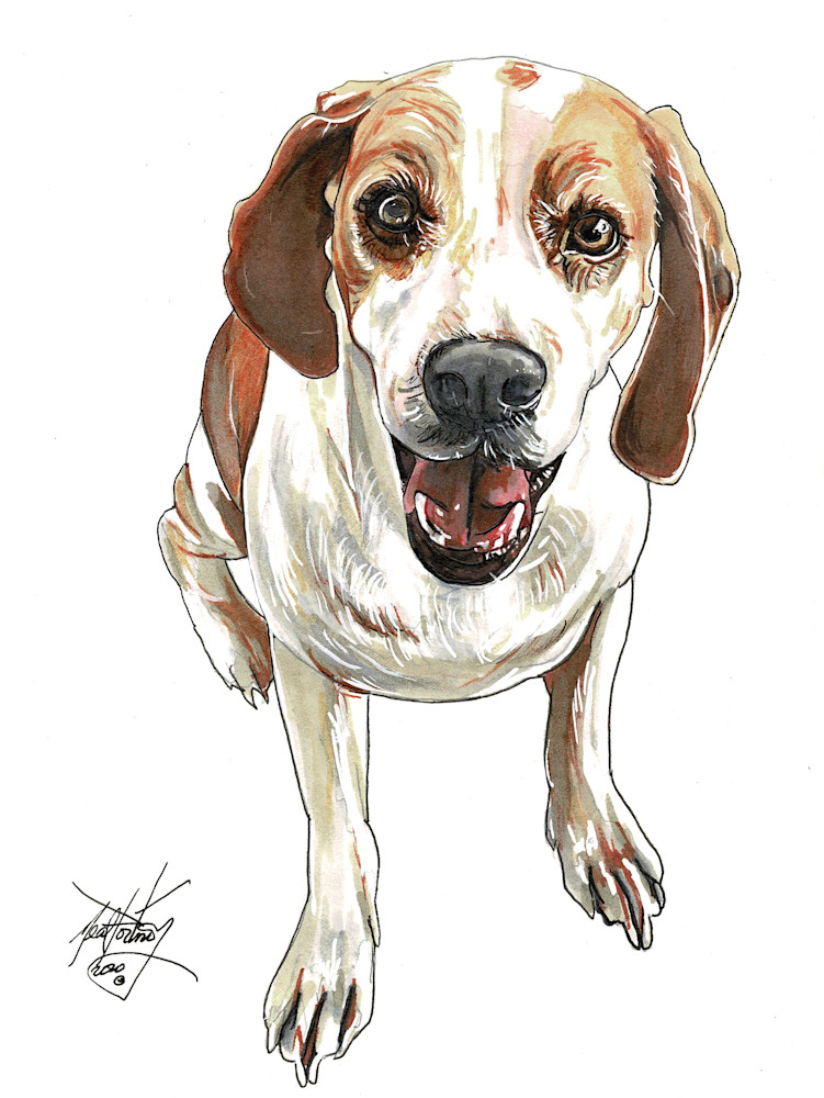 Hound Dog Art | portnoygallery
