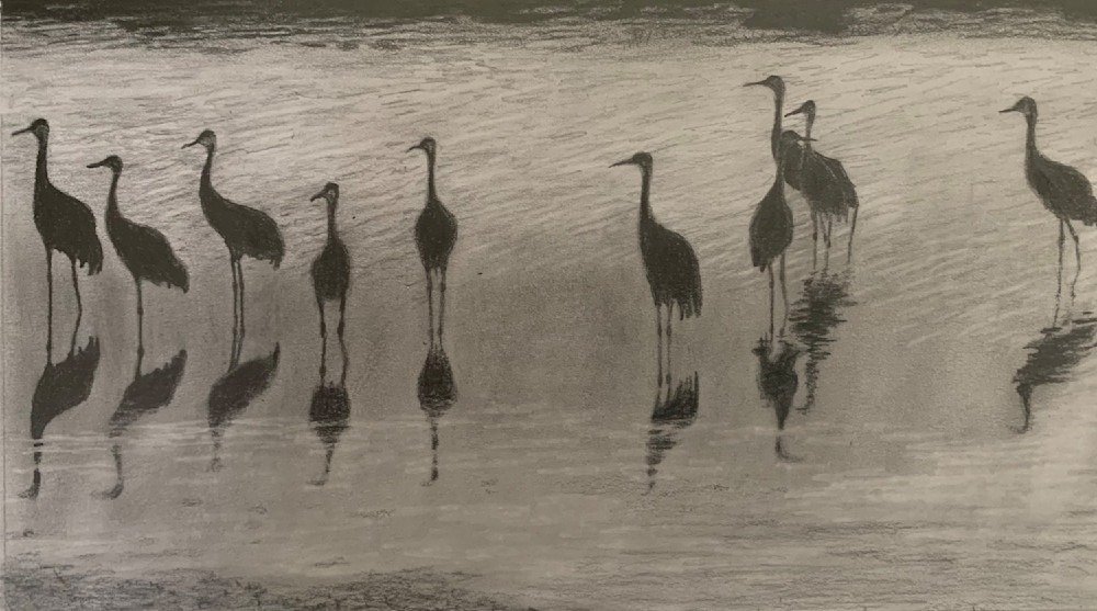 Sandhill Cranes, Reflected - Todd Kreisman Art