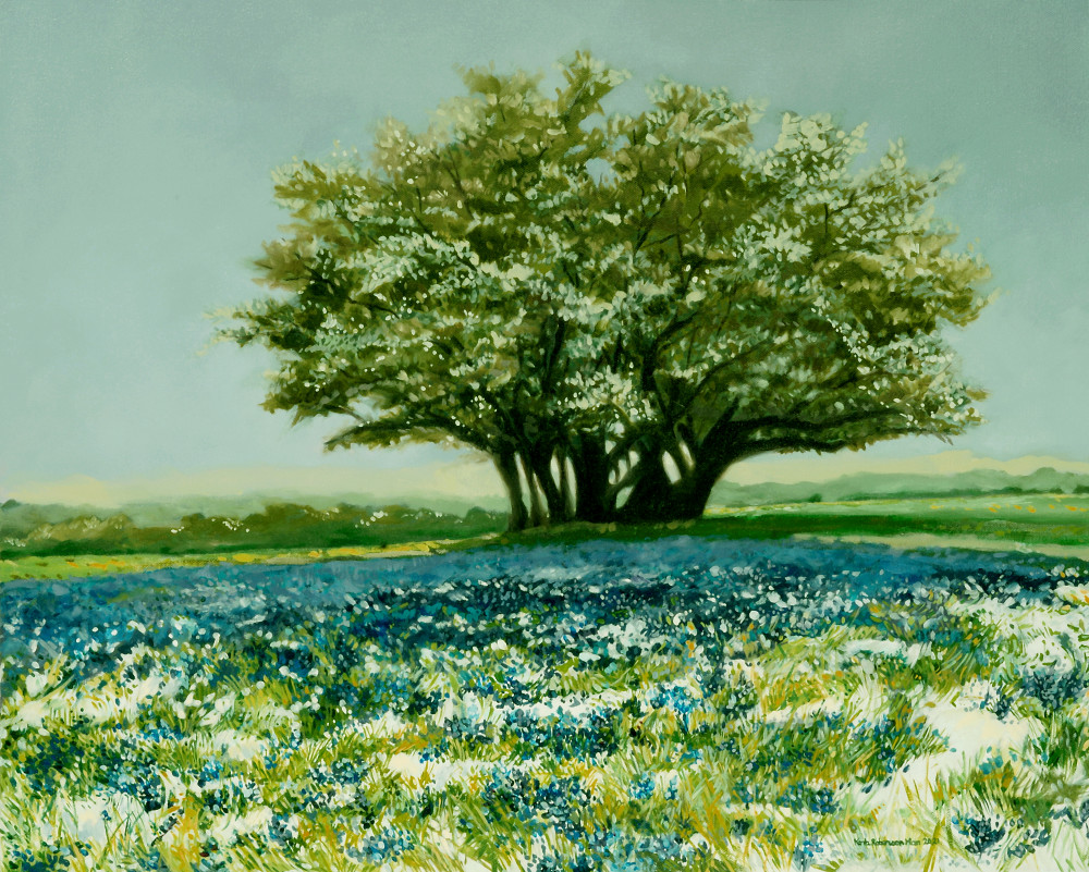 Snowy Oak And Bluebonnets, Texas Hill Country Art | Karla Roberson Man, Fine Art and Illustration