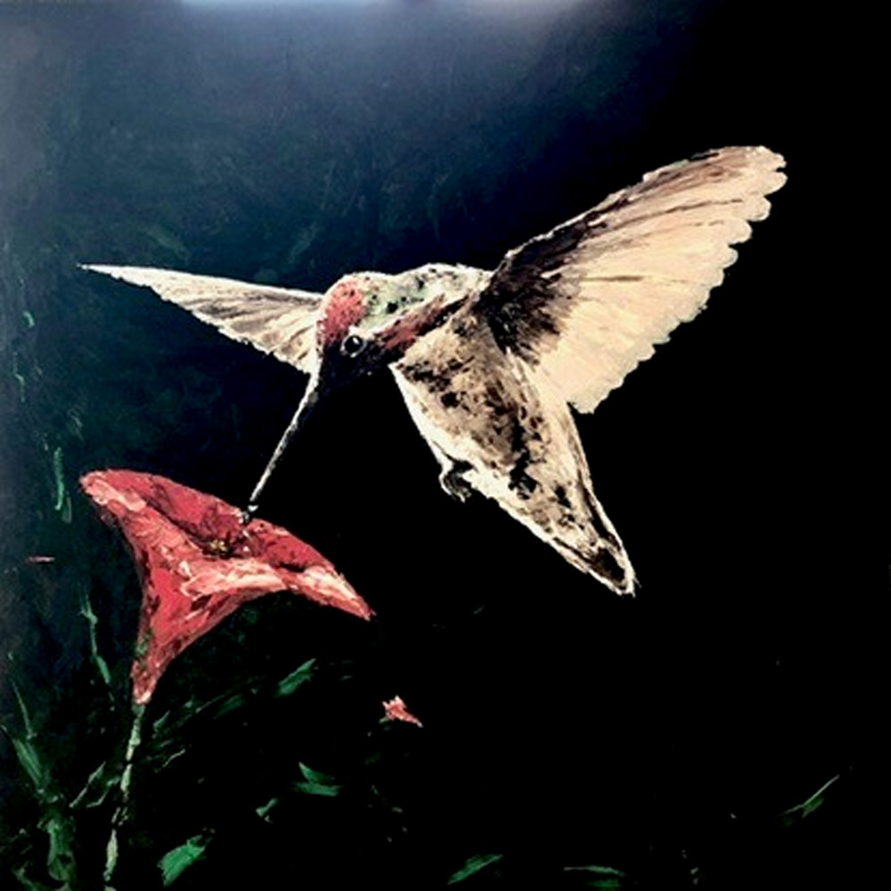Thirst Hummingbird Art | Alexandre E.