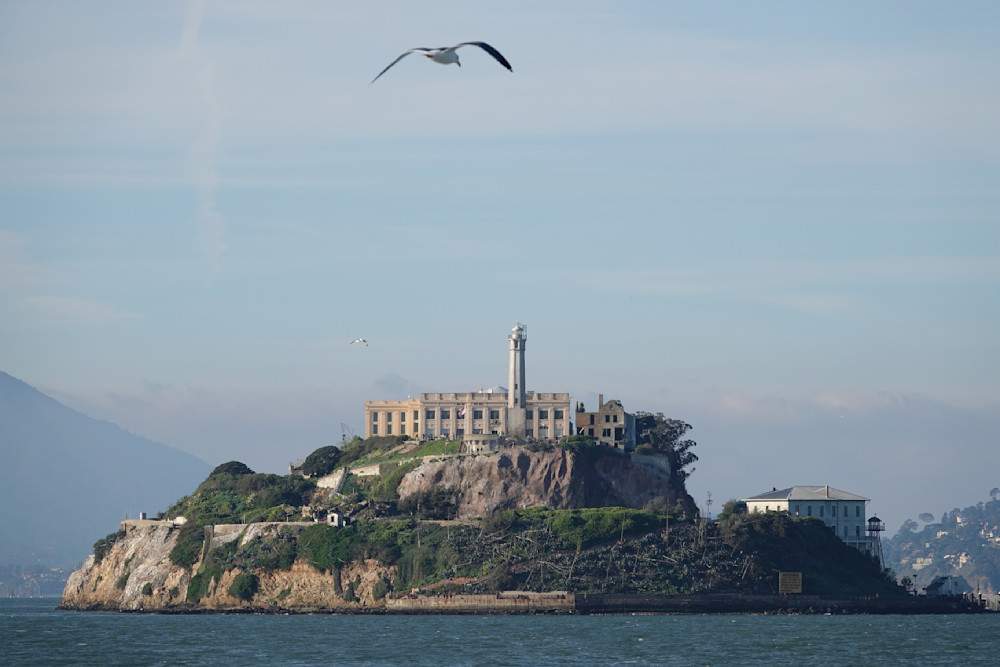 Jailbirds   Alcatraz Island Photography Art | Josh Lien (@joshlien27)