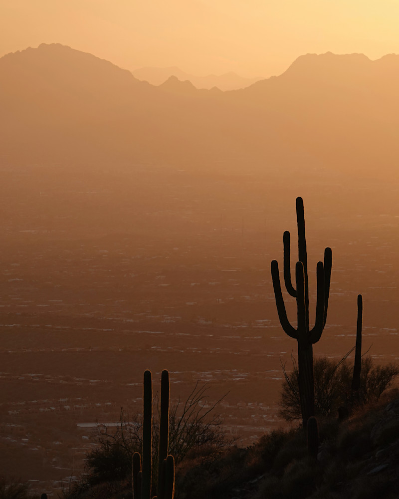 Valley Of The Sun   Saguaros, Mountains, Sunset Photography Art | Josh Lien (@joshlien27)